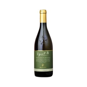 Verdicchio Matelica Belisario Vigneti B