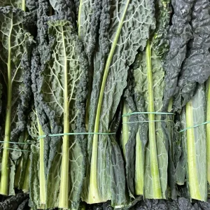 Cavolo Nero 1 kg