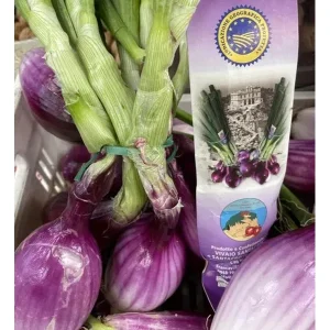 Cipolla Rossa di Tropea Calabria IGP – Fresca – kg 1