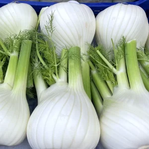 Finocchio Fresco cat. 1°