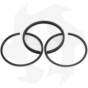 Fasce elastiche Briggs & Stratton per pistone 65.10