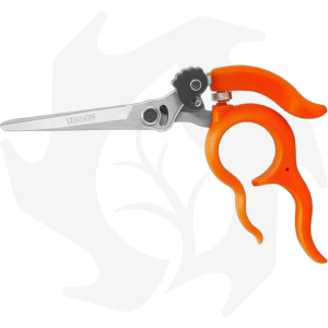 Forbice ad anello Stocker per vendemmia