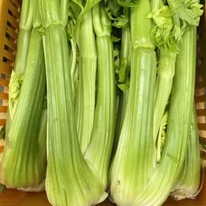 Sedano verde 1 pezzo