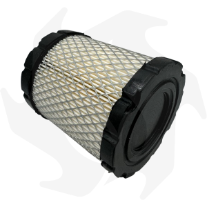 Filtro aria per motore Briggs & Stratton serie 44P977 49M977