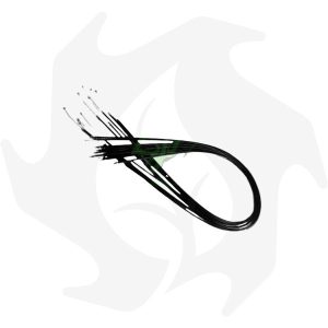 Trasmissione gas completa Brumi/Pasbo (CONFEZIONE DA 10 PEZZI)