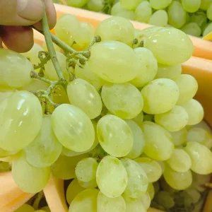 Uva Bianca senza semi 1 kg