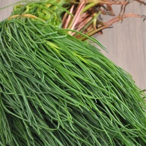 Agretti 500gr