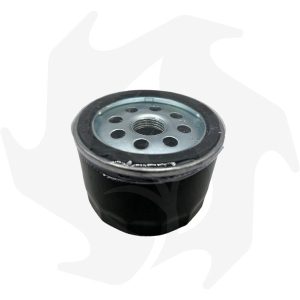 Filtro olio motore Briggs & Stratton, diametro 76 mm