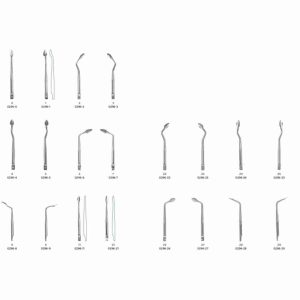 ASA Punta Sindesmotomo 0296