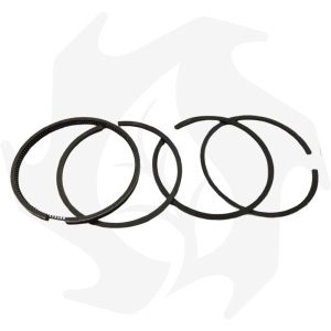 Serie segmenti Lombardini 6LD360 LDA530