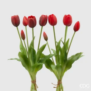 EDG · Enzo De Gasperi · Bouquet di Tulipani Rosso/Rosso Sfumato